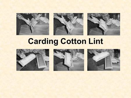 Carding Cotton Lint. Materials Needed: Good quality ginned cotton, set of carders (preferably cotton carders with finer teeth than wool carders), and.