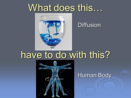 What does this… have to do with this? Diffusion Human Body.