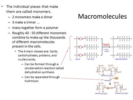 The individual pieces that make them are called monomers.