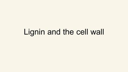 Lignin and the cell wall. Trees are the largest organisms on earth.