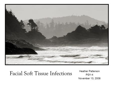 Facial Soft Tissue Infections Heather Patterson PGY-4 November 13, 2008.