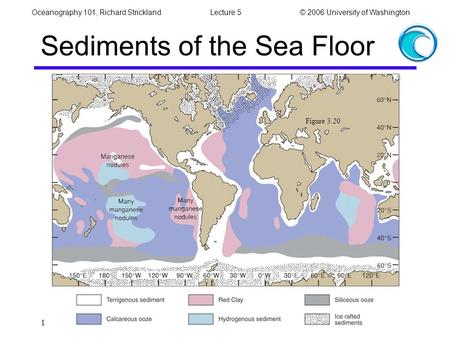 Oceanography 101, Richard StricklandLecture 5© 2006 University of Washington 1 Sediments of the Sea Floor Figure 3.20.