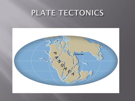 Alfred Wegener: Noticed similarities in the shoreline of continent on both sides of the Atlantic Ocean, he then began fitting them together. Introduced.