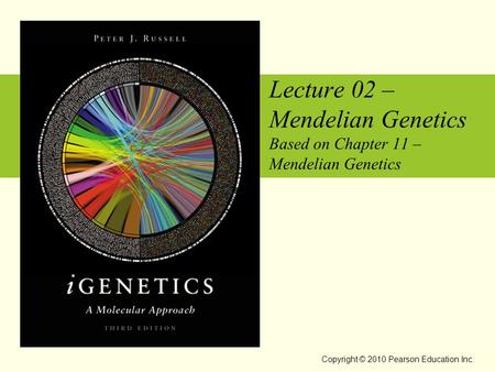 Copyright © 2010 Pearson Education Inc. Lecture 02 – Mendelian Genetics Based on Chapter 11 – Mendelian Genetics.