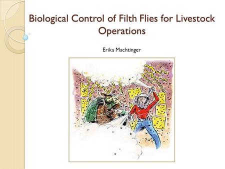 Biological Control of Filth Flies for Livestock Operations Erika Machtinger.