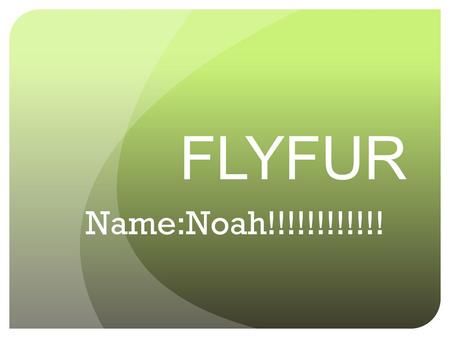 FLYFUR Name:Noah!!!!!!!!!!!! Habitat of Your Animal Location-Arctic, Pacific, Atlantic, and Indian covering 3 Quarters of the earth!!!!!! Characteristics-