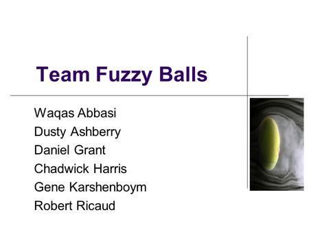 Team Fuzzy Balls Waqas Abbasi Dusty Ashberry Daniel Grant Chadwick Harris Gene Karshenboym Robert Ricaud.