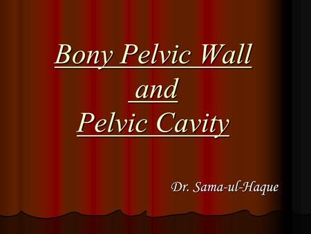 Bony Pelvic Wall and Pelvic Cavity