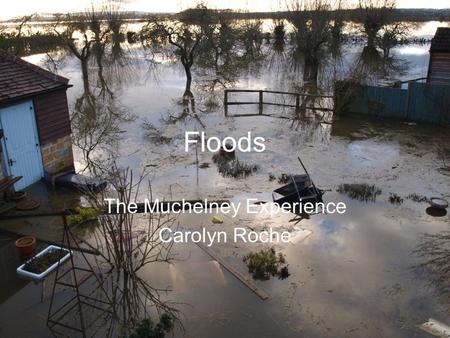 Floods The Muchelney Experience Carolyn Roche. November 2012 After the wettest summer on record 12 Houses flooded Roads became impassable cutting off.