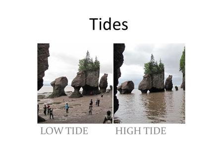 Tides LOW TIDE HIGH TIDE.