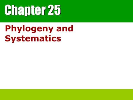 Phylogeny and Systematics