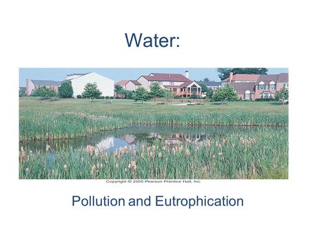 Water: Pollution and Eutrophication. Delaware River Basin Low flow in the Delaware River during the mid-1960s and in the early 1980s threatened the drinking.