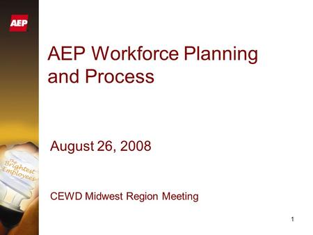 1 AEP Workforce Planning and Process August 26, 2008 CEWD Midwest Region Meeting.