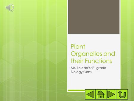 Plant Organelles and their Functions Ms. Toledo’s 9 th grade Biology Class.