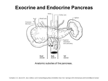 Exocrine and Endocrine Pancreas Anatomic subsites of the pancreas. Compton, C.C., Byrd, D.R., et al., Editors. AJCC CancerStaging Atlas, 2nd Edition. New.