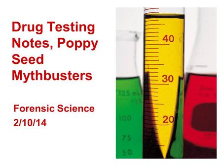 Drug Testing Notes, Poppy Seed Mythbusters Forensic Science 2/10/14.