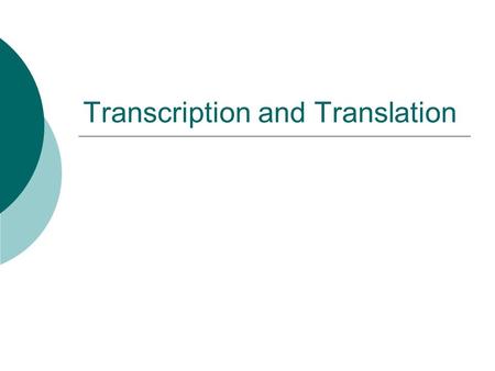 Transcription and Translation. Protein Structure  Made up of amino acids  Polypeptide- string of amino acids bonded together (peptide bonds) Enzymes.