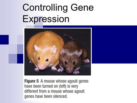 Controlling Gene Expression