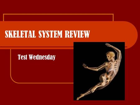 SKELETAL SYSTEM REVIEW Test Wednesday. TOPICS50 Q SKELETAL SYSTEM MEDICAL TERMS KEEPER LIST: INTRO TO A&P, CHEM/CELLS, TISSUES, AND INTEGUMENTARY.