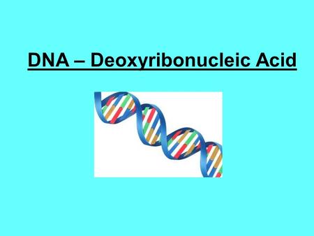 DNA – Deoxyribonucleic Acid. Nucleic Acids Nucleotides DNA & RNA.