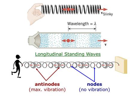 Longitudinal Standing Waves antinodes (max. vibration) nodes (no vibration)