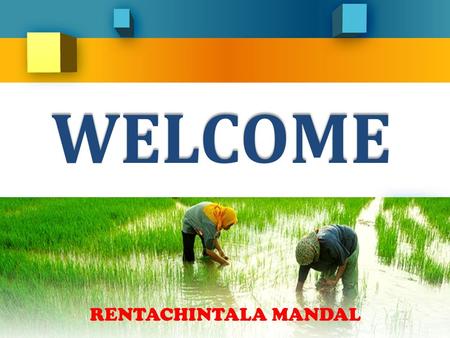 WELCOME RENTACHINTALA MANDAL Presentation On Strategic Action Plan For Achieving Double Digit Growth in Rentachintala Mandal By Narasimha Potla, Mandal.