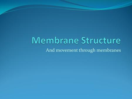 And movement through membranes. Phospholipids Phospholipids are made up of a Phosphate head and Two fatty acid tails The head portion “loves water”: It.