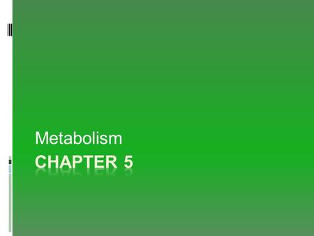 Metabolism. Defining Energy  Potential energy is the capacity to do work.  Kinetic energy is the energy of motion.  ATP is the cell’s energy source.