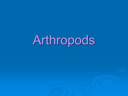 Arthropods. Phylum Arthropoda  Greek for jointed feet  Crabs, shrimp, barnacles, Insects, spiders etc.  Largest phylum of animals with ~ 1 million.