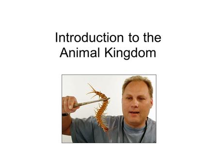 Introduction to the Animal Kingdom. Which of these is an “animal”?