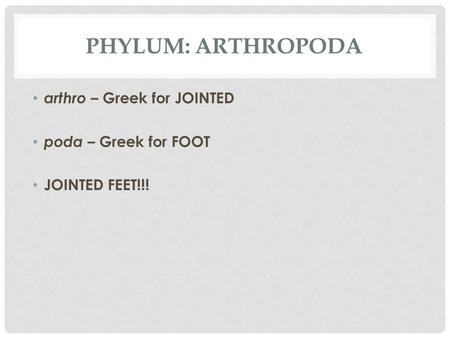 PHYLUM: ARTHROPODA arthro – Greek for JOINTED poda – Greek for FOOT JOINTED FEET!!!