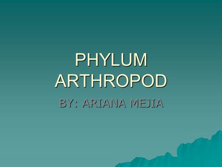 PHYLUM ARTHROPOD BY: ARIANA MEJIA. CHARACTERISTICS  Segmented body plan  Exoskeleton  Has an open circulatory system  Nervous system has a dorsal.