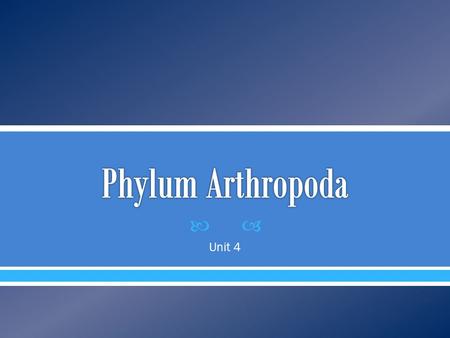 Phylum Arthropoda Unit 4.