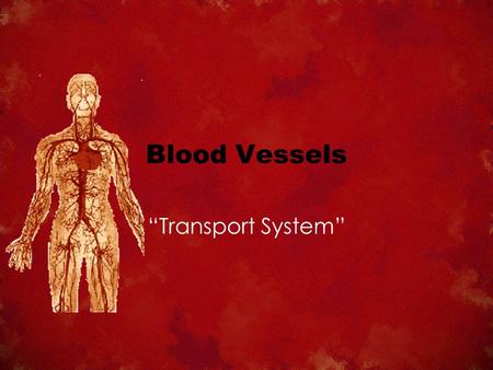 Blood Vessels “Transport System”. Arteries Always carry blood away from the heart. The blood is always oxygenated except in the pulmonary artery. Arterioles.