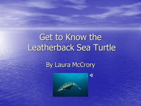 Get to Know the Leatherback Sea Turtle By Laura McCrory.