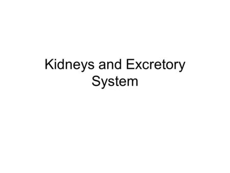 Kidneys and Excretory System. How Urination works  200032.htmhttp://health.howstuffworks.com/adam- 200032.htm.