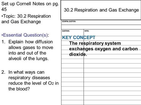 29.4 Central and Peripheral Nervous Systems Set up Cornell Notes on pg. 45 Topic: 30.2 Respiration and Gas Exchange Essential Question(s): 1.Explain how.