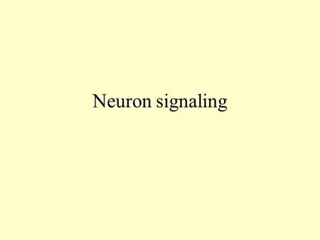 Neuron signaling. Electricity Principles The ECF contains primarily sodium (Na+) and chloride ions (Cl-) The ICF contains lots of potassium (K+) ions.