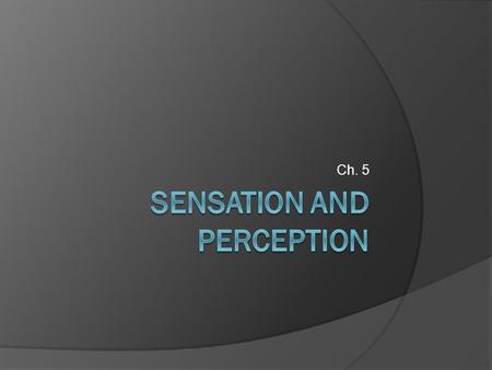 Sensation and Perception