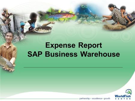 Partnership  excellence  growth Expense Report SAP Business Warehouse.