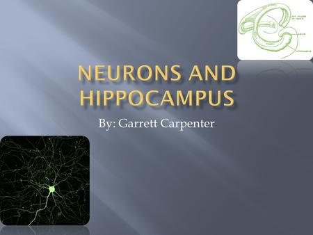 By: Garrett Carpenter Neurons are defined as brain cells that manifest all properties of the mind. Neurons send and receive information. Neurons come.