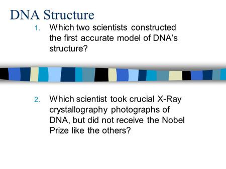 DNA Structure 1. Which two scientists constructed the first accurate model of DNA’s structure? 2. Which scientist took crucial X-Ray crystallography photographs.