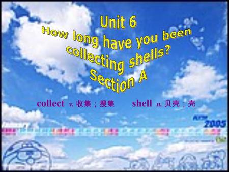 collect v. 收集；搜集 shell n. 贝壳；壳 shell collect shells 收集贝壳 marathon.