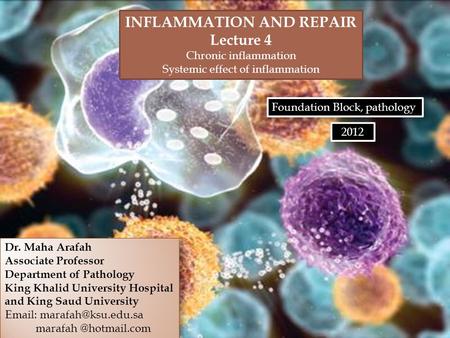 Upon completion of this lecture, the student should:  Compare and contrast acute vs. chronic inflammation with respect to causes, nature of the inflammatory.