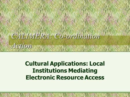 CALIMERA: Co-ordination Action Cultural Applications: Local Institutions Mediating Electronic Resource Access.