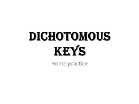 Dichotomous Keys Home practice. Dichotomous Keys Now that we know how organisms are classified. We know some of the characteristics that make up each.