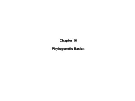 Chapter 10 Phylogenetic Basics. Similarities and divergence between biological sequences are often represented by phylogenetic trees Phylogenetics is.