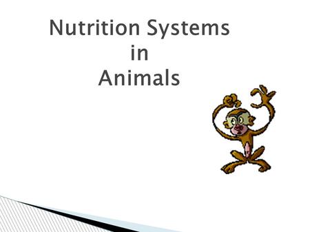 Nutrition Systems in Animals. 28/10/12 Nutrition intakeoutside -the intake of SUBSTANCES from outside- To grow To renew our body To get energy To move.