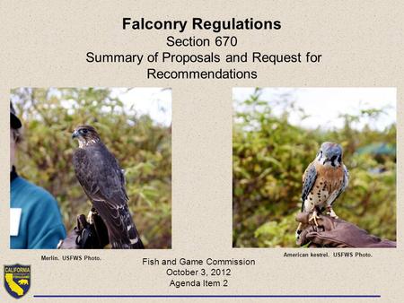 Falconry Regulations Section 670 Summary of Proposals and Request for Recommendations Fish and Game Commission October 3, 2012 Agenda Item 2 Merlin. USFWS.