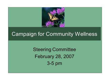 Campaign for Community Wellness Steering Committee February 28, 2007 3-5 pm.